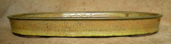 bonsai pot